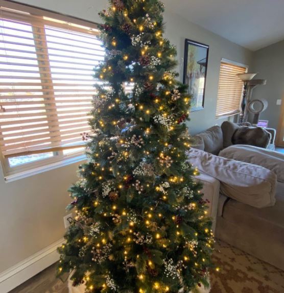Christine Brown Christmas Tree Instagram