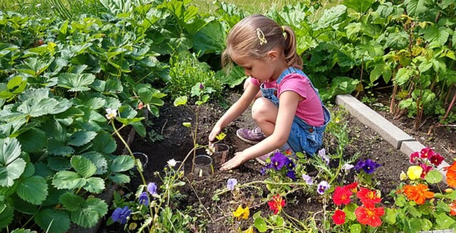 Gardening from Wikimedia Commons